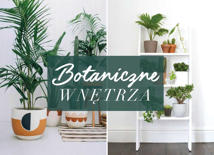 Odkryj najgorętszy trend tego sezonu! Mieszkanie w stylu botanicznym