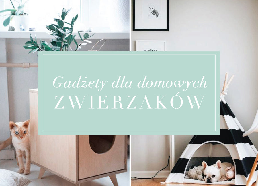Zwierzak(L)oVe czyli oryginalne gadżety dla zwierząt