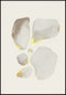 Kremowe Kamienie Prawy Złoty Plakat 50x70cm
