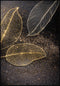 Liście Złoty Plakat 50x70cm