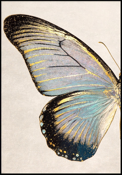 Turkusowy Motyl Lewy Złoty Plakat 50x70cm