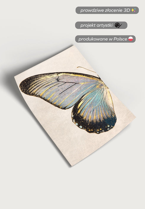 Turkusowy Motyl Lewy Złoty Plakat 50x70cm