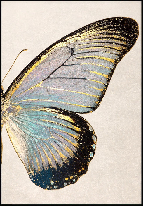 Turkusowy Motyl Prawy Złoty Plakat 50x70cm