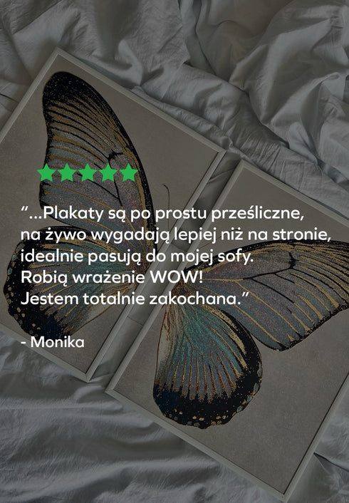 Turkusowy Motyl Prawy Złoty Plakat 50x70cm
