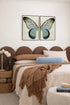Turkusowy Motyl Prawy Złoty Plakat 50x70cm