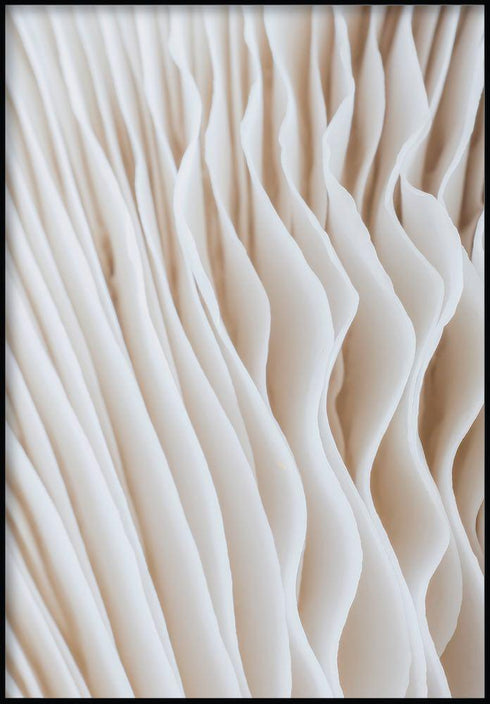 struktura kwiatów plakat