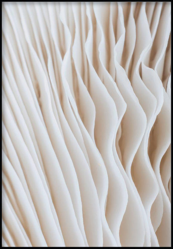 struktura kwiatów plakat