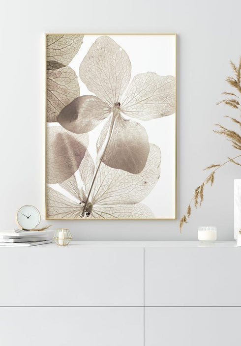 kremowy transparentny kwiat plakat