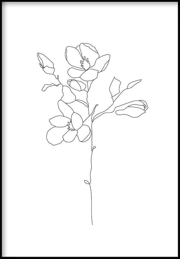 magnolia line art plakat