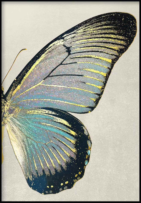 Turkusowy Motyl Prawy Złoty Plakat 50x70cm